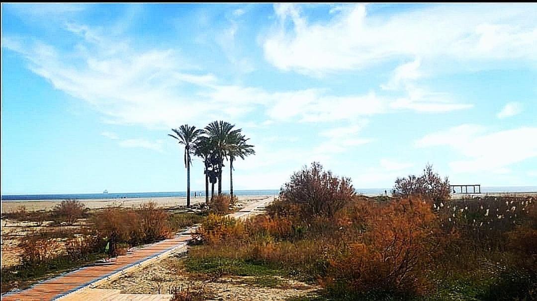 Coast Serranovera
